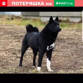 Уг рел