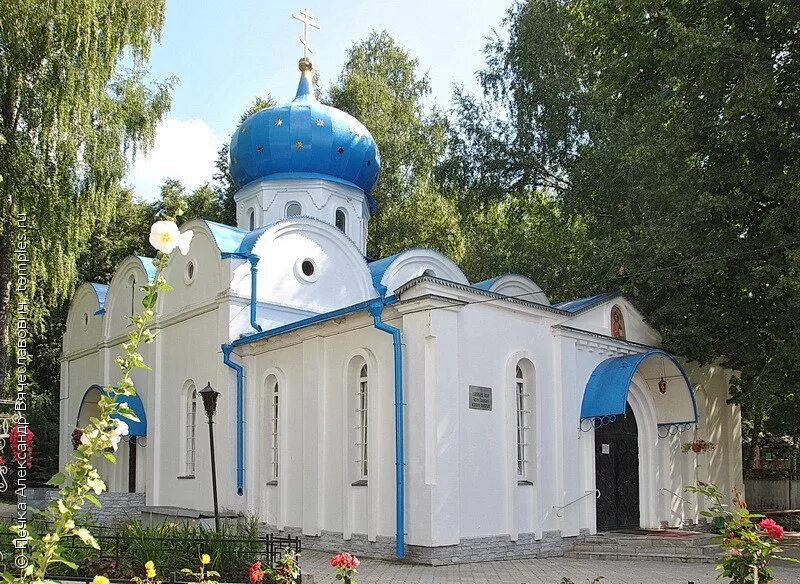 Успенский монастырь новомосковск. Свято-Успенский монастырь (Новомосковск). Новомосковск храм Успения Пресвятой Богородицы. Храм Нечаянная радость Новомосковск. Новомосковск Успенский мужской монастырь.