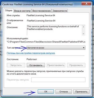 Flexnet licensing service что это