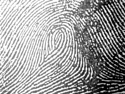 Fingerprinting chrome