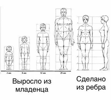 Пропорции человека в головах