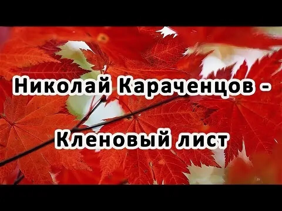 Песня в исполнении караченцова кленовый лист. Кленовый лист караченцов текст. кленовый лист песня караченцов текст.