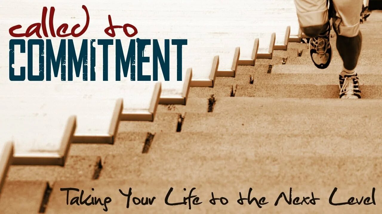 To make a commitment to. Commitment. commitments. commitment to.