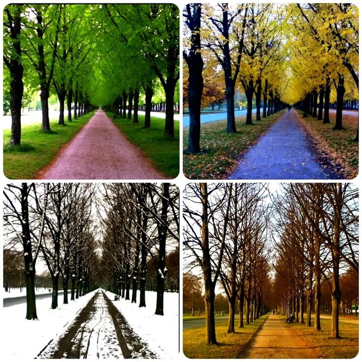 Same time same place