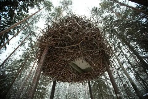 Подвешенное гнездо