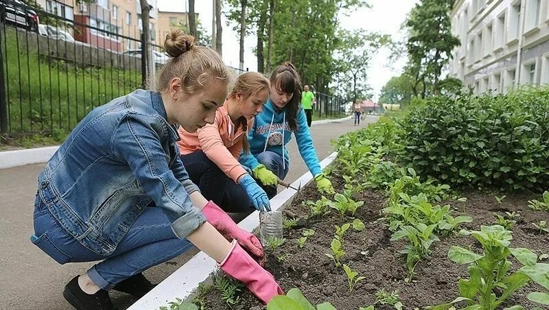 Работа на лето 12. Трудоустройство несовершеннолетних. Трудоустройство подростков. Трудоустройство несовер. Школьники трудятся.