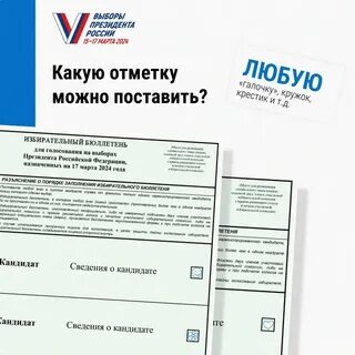 Выборы в администрацию города