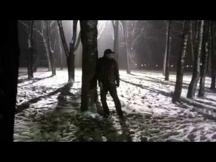 Дикий 41