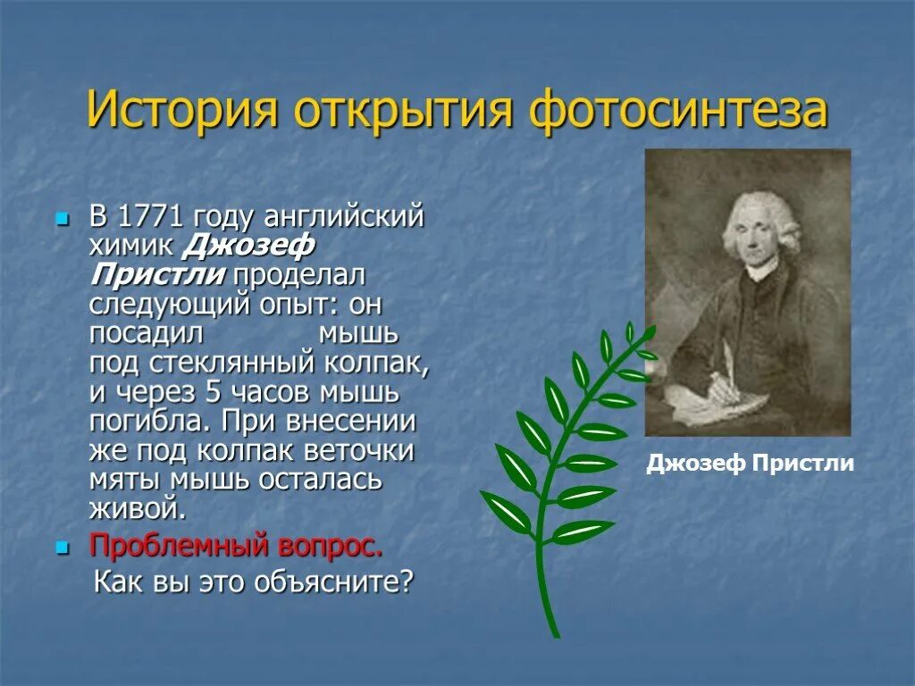 Жизнь растений в 6. 1771 Году английский Химик Джозеф Пристли. Фотосинтез 6 класс. История открытия фотосинтеза. История открытия фотосинтеза 1771 год.