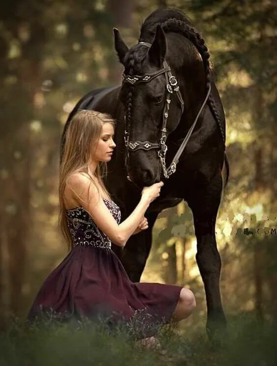 HORSES OF LADIES - YouTube