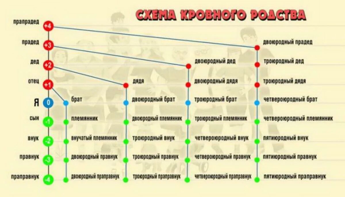 Являются ли внуки родственниками. Схема кровного родства. Схема родства двоюродные троюродные. Степени родства у русских. Троюродный брат схема родства.