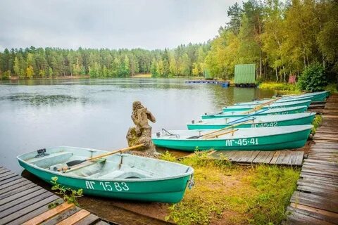 Гамма рыбацкое