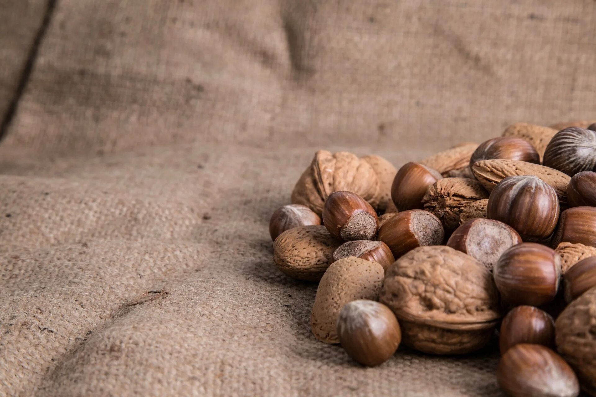 Фундук. Семечки с орешками. Wood and nuts. Чароул орех. Под орехи из дерева.