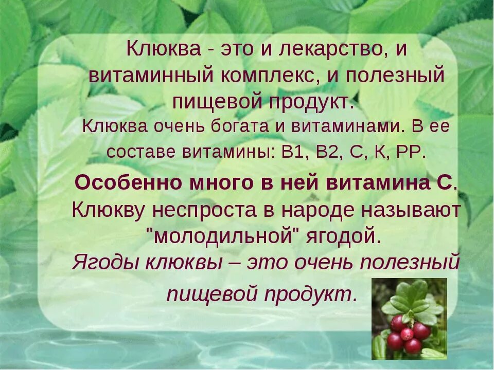 Рассказ о клюкве. Интересные факты о клюкве. Клюква презентация для детей. Клюква презентация 4 класс.