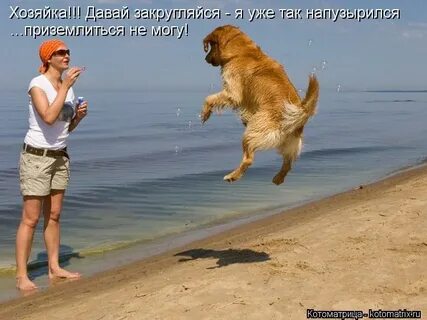 Закругляйся