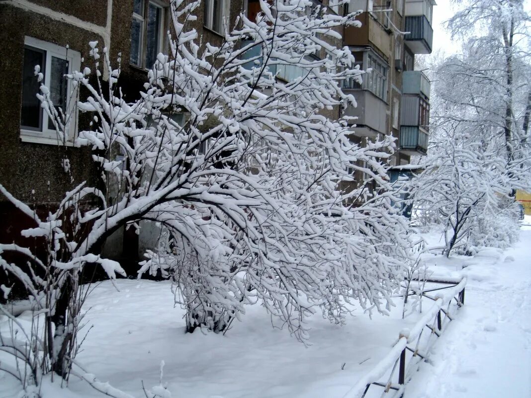 мальчик лежит на снегу. к чему снится идти по заснеженному лесу. люди зимой. к чему снится идти по большим сугробам снега. сонник много снега.