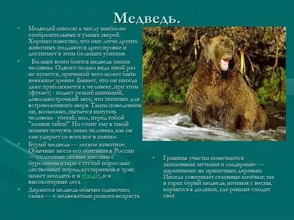 Научное сообщение о диких