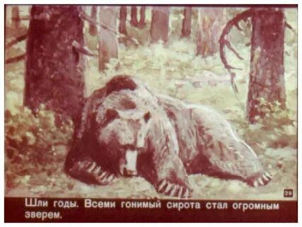 Главные герои медведь
