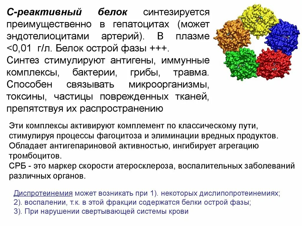 Биохимия крови срб. С-реактивный белок. С-реактивный белок функции. С реактивный белок биохимия. C реактивный белок структура.