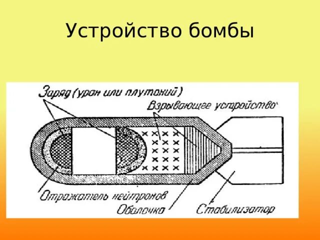 Из чего состоит ядерный. Из чего состоит ядерный