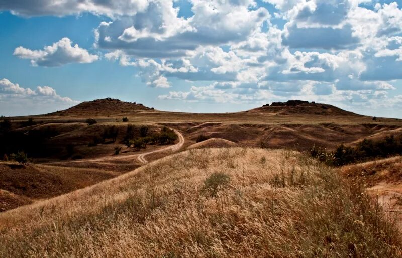 Горы уши камышин. Горы уши камышин. Горы уши камышин. Горы уши волгоградская область. Уши камышин.