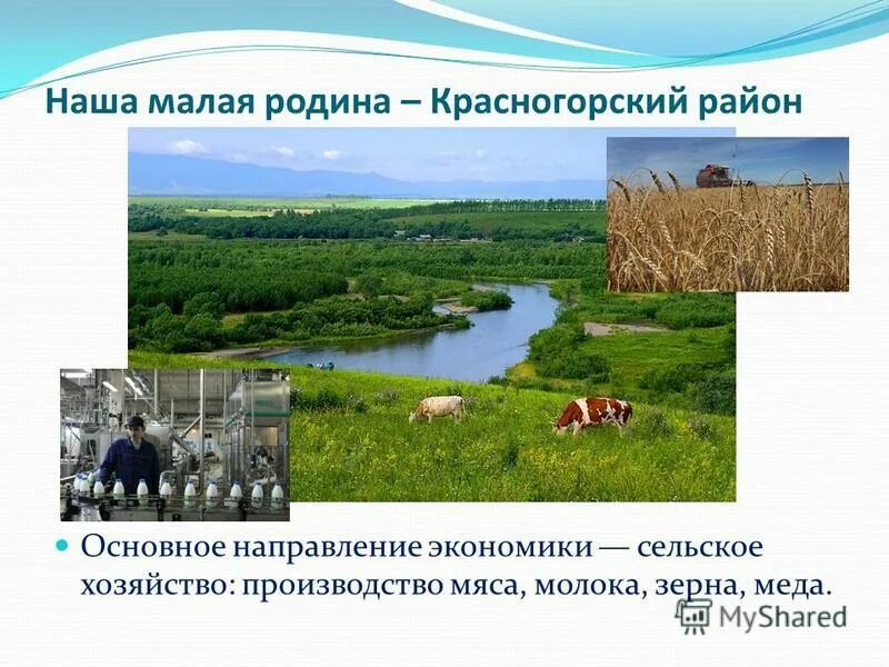 Экономика родного края нижегородская область. Проект экономика родного края. Экономика нашего родного края. Презентация экономика родного края. Экономика родного края окружающий мир.