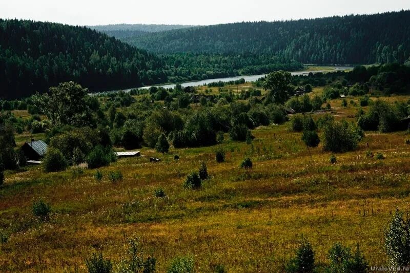 Поселок сухая Пермский край Александровский район. Посёлок Яйва Пермский край. Поселок Яйва Александровский район Пермский край. Пермский край Александровский район речка сухая. Поселок яйва пермский край