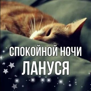 Спокойно больной