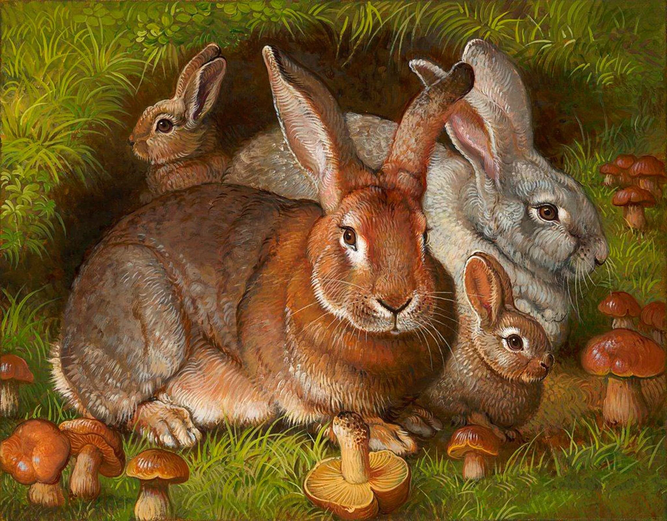 сказка ёжик михаил пляцковский. заяц мультяшный. петра браун иллюстрации. приключения зайца э шима. михаил пляцковский иллюстрации.