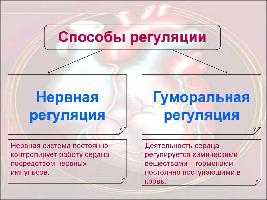 Нервно гуморальная реакция. Нервная и гуморальная регуляция деятельности организма. Гуморальная регуляция деятельности системы кровообращения. Нервная и моральная регуляция. Понятие о нервной регуляции.