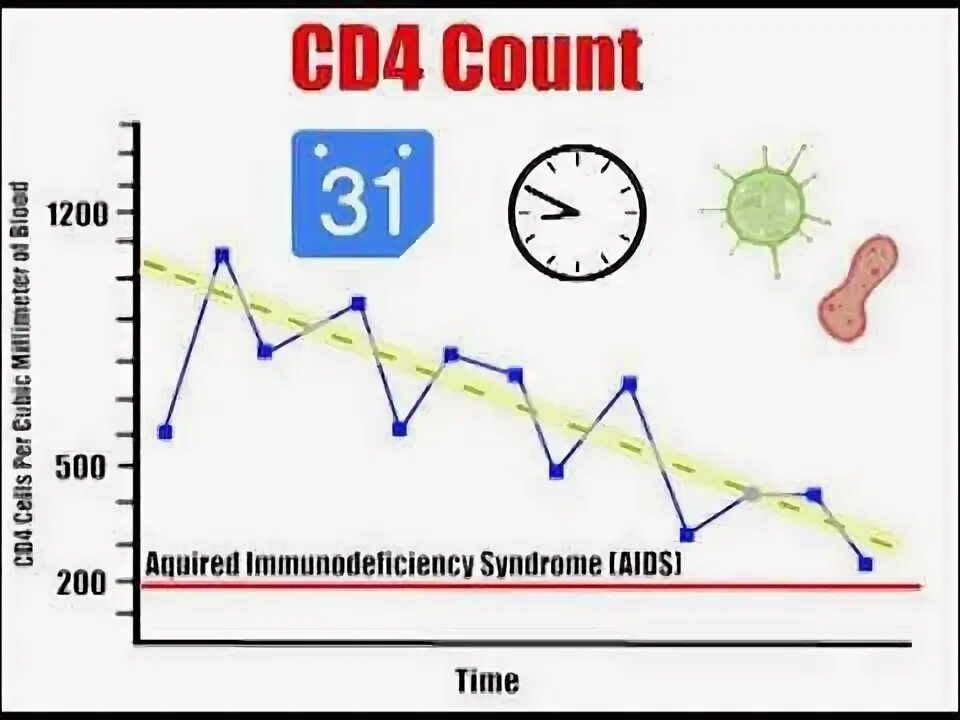 4 count. Count 4 что это. Road 24. 4 count. Count.