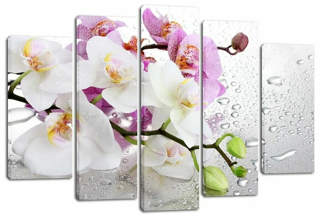 модульная картина орхидея. модульная картина цветы. модульная картина белая орхидея. модульная картина цветы. модульная картина.