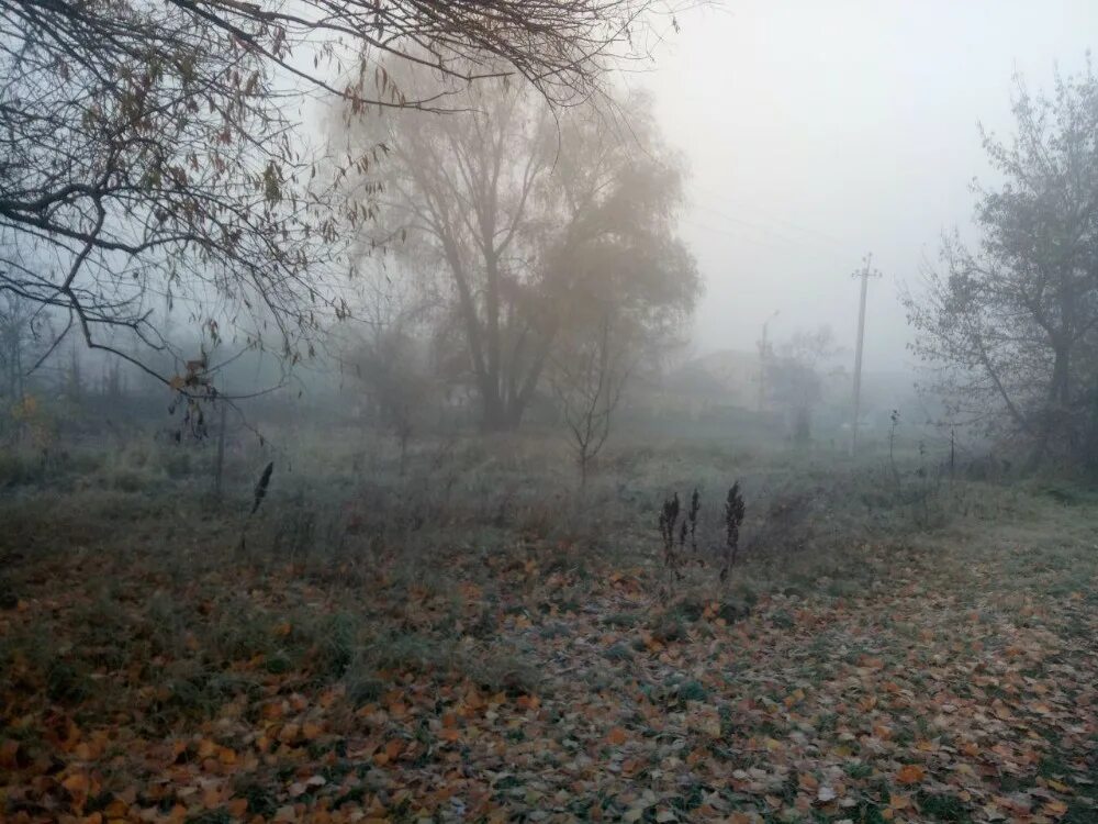 Туман поздней осенью. Поздняя осень туман. Конец осени туман. Поздняя осень Эстетика туман.