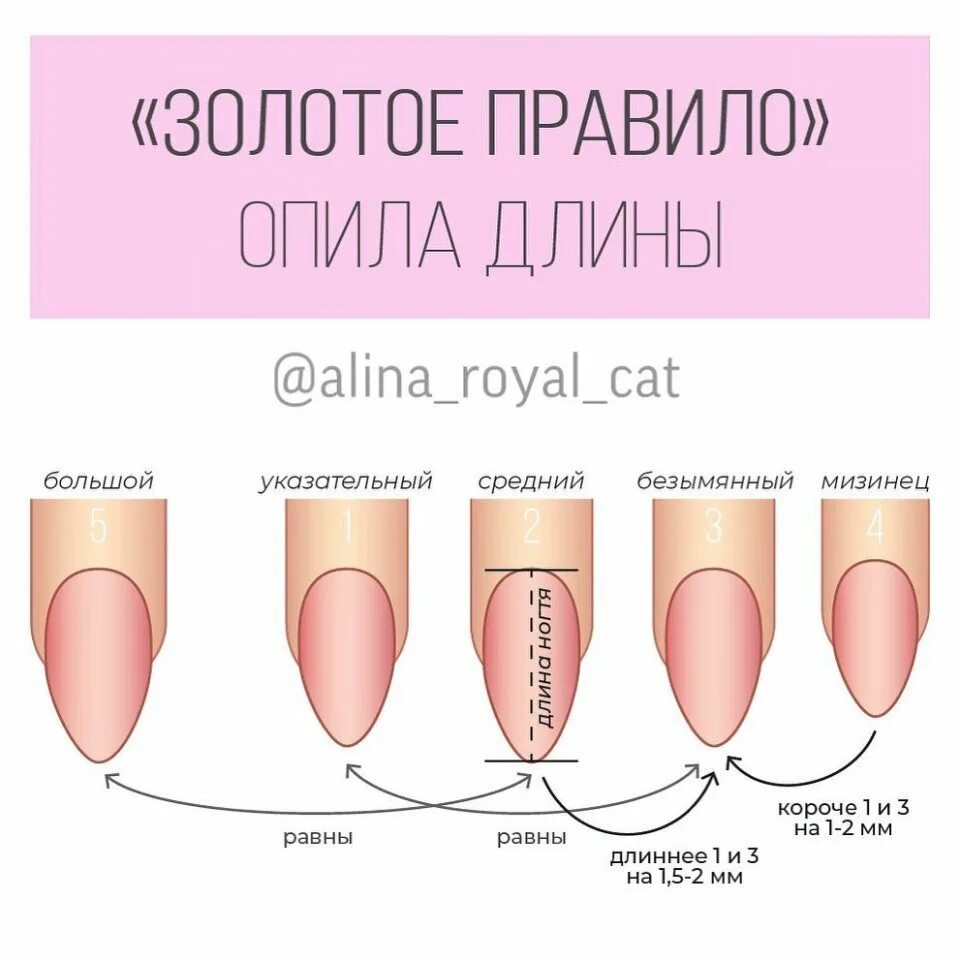 Правильная форма миндаль