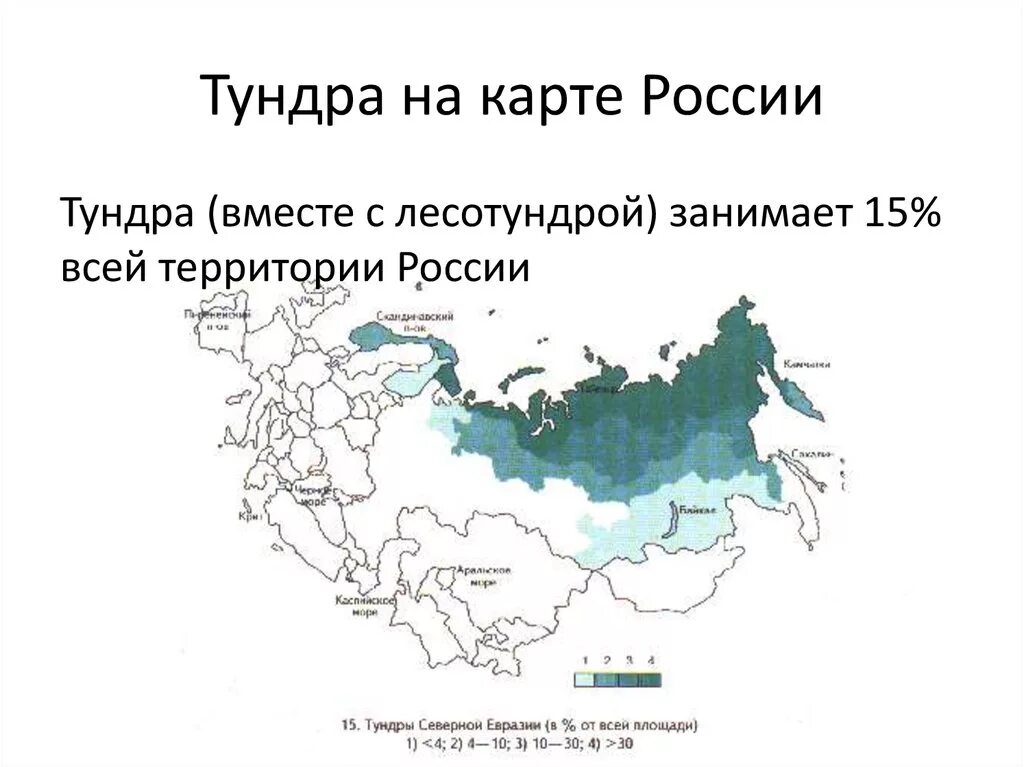 Зонах лежит территория россии. Географическое положение тундры в России карта. Тундра и лесотундра географическое положение в России на карте. Географическое положение тундры на карте. Расположение тундры на карте России.