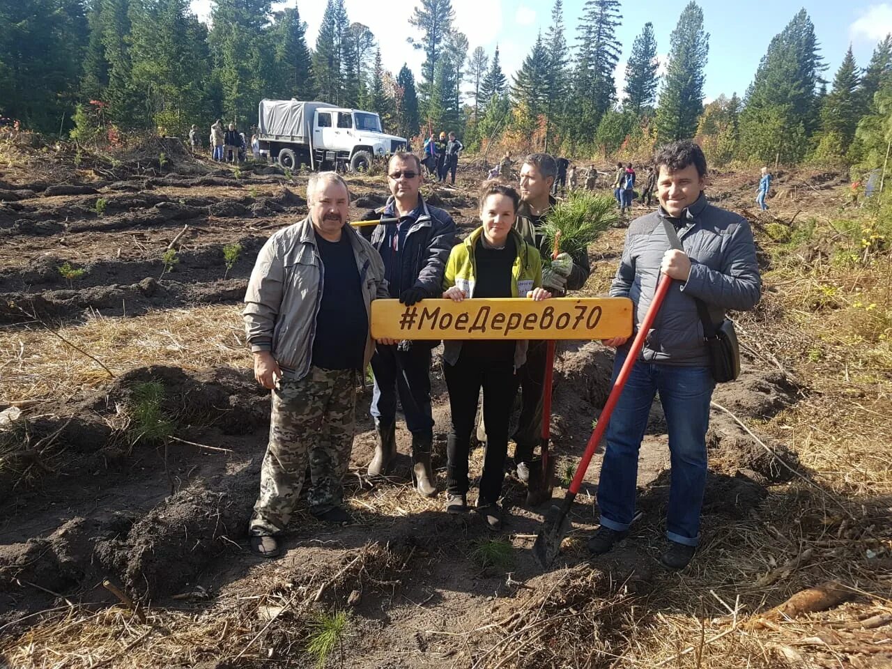 Погода кедровый томская область на 10 дней. Поселок Кедровый Томская область. Департамент лесного хозяйства Томской области. Кедровый (город). Кедровый Томская область дорога.