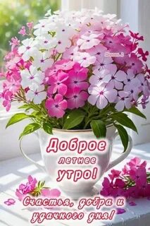 Picture background
