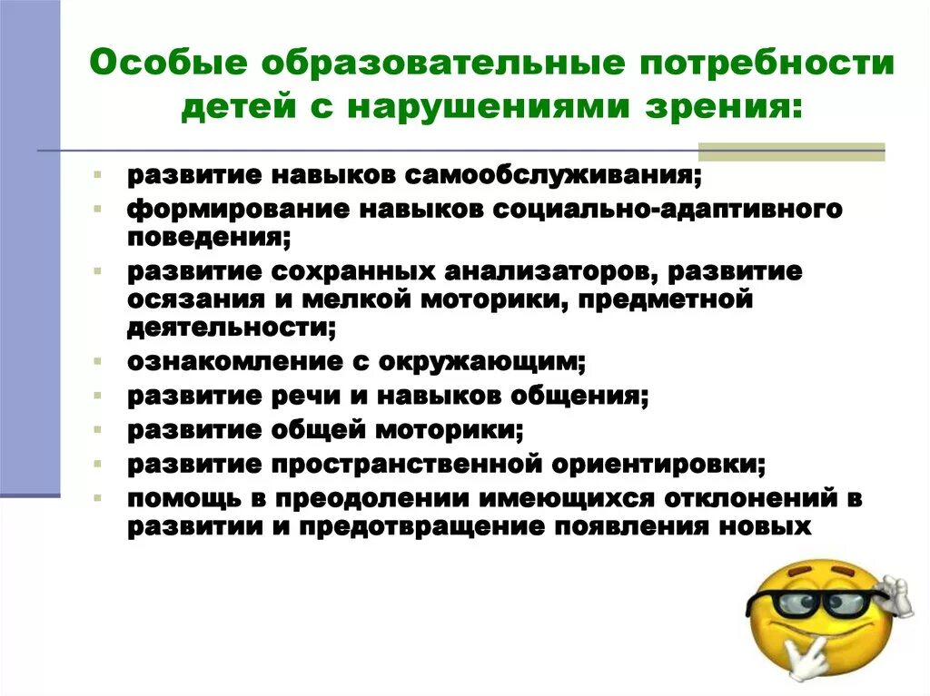 Нужны особые условия. Образовательные потребности детей с нарушением зрения. Специальные образовательные потребности детей с нарушением зрения. Особые образовательные потребности с нарушенным зрением. Особые образовательные потребности детей с нарушением зрения кратко.