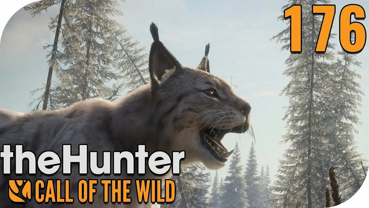 Калл оф зе вилд. Колл оф зе вайлд. Hunt Call of the Wild. THEHUNTER: Call of the Wild. The Hunter Call of the Wild 2021.