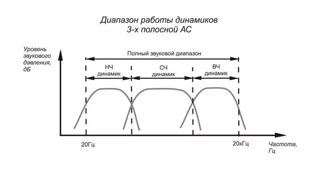 Таблица частоты для ВЧ СЧ НЧ динамиков. Частоты динамиков НЧ СЧ ВЧ. Частоты среза для ВЧ СЧ НЧ динамиков. График среза частот динамиков. Уровень низких частот