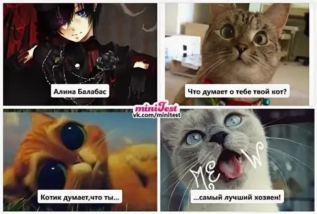 Балабас что это. Балабас.
