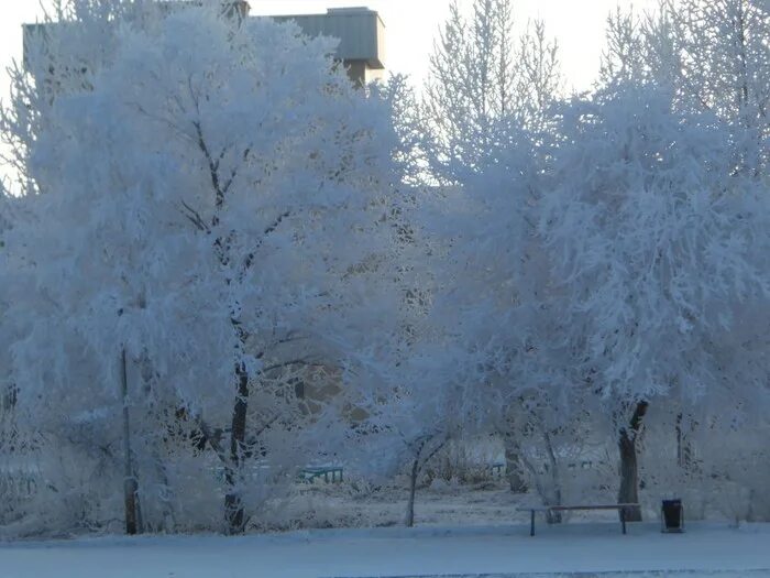 Заринск алтайский край фото города 2022. Г заринск алтайский край. Заринск. Заринск зимой. Заринск город.