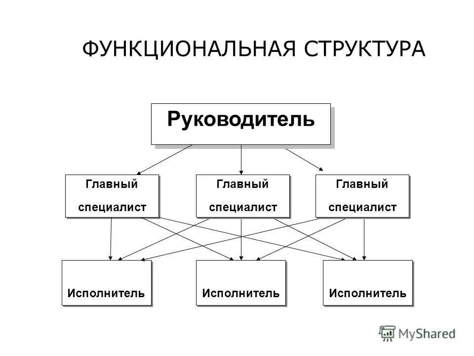 Главный специалист учреждения