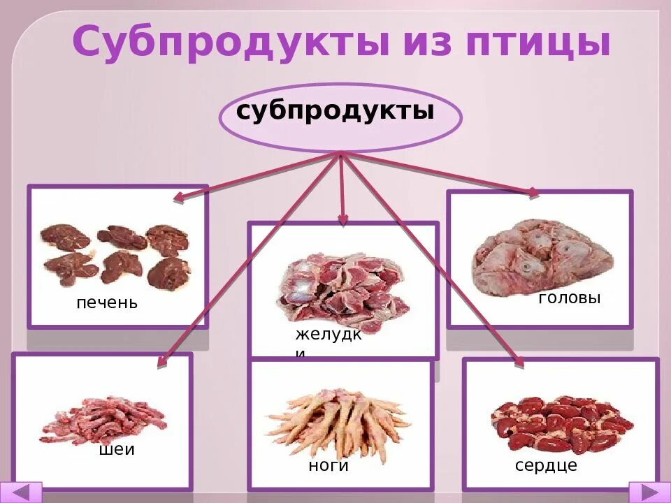 Субпродукты что. Полуфабрикаты из субпродуктов. Полуфабрикаты из субпродуктов птицы. Обрабаботкасуб. Продуктов.