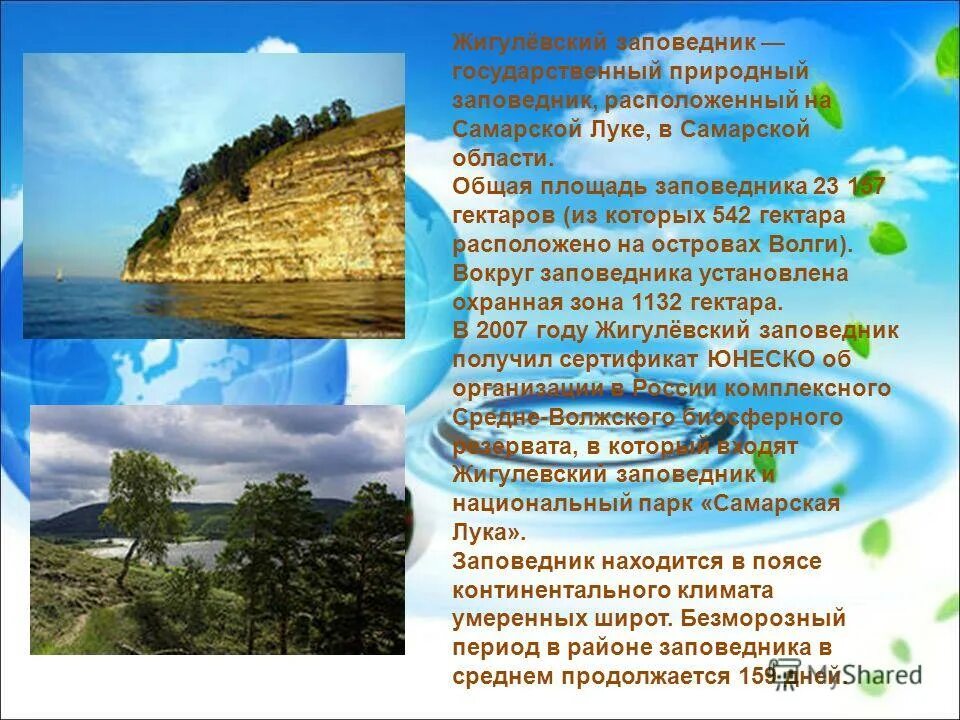 Доклад о жигулевских горах. Описание самарской луки. Описание самарской луки. Жигулевский государственный природный заповедник. Описание самарской луки.
