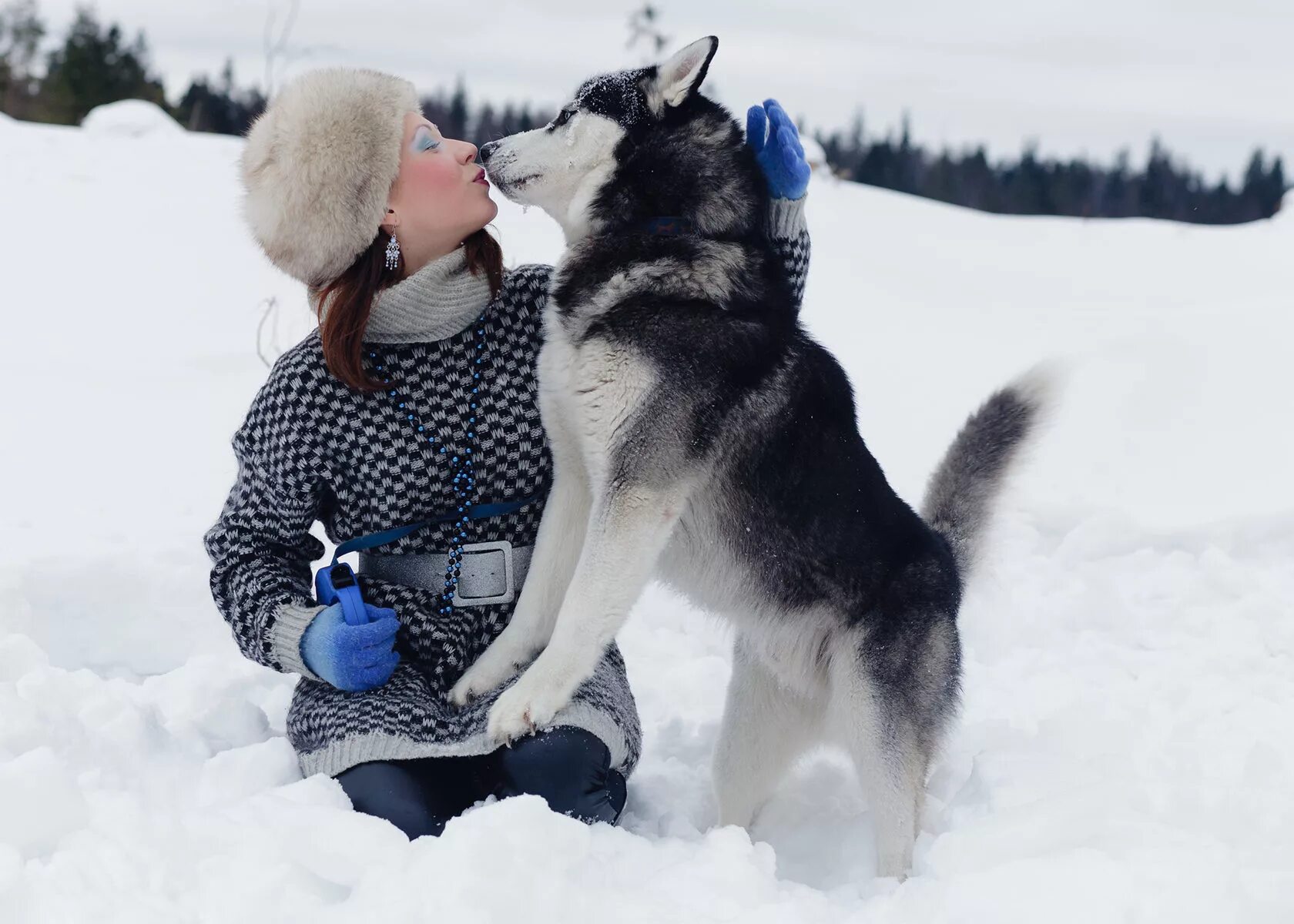 Западно-сибирская лайка в вольере. Лайка в вольере на улице. Западносибирская лайка на охоте. Западносибирская лайка рост и вес. Какую температуру выдерживает лайка.