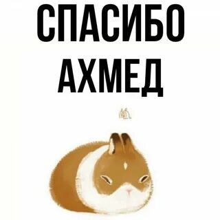 Ахмед какое имя