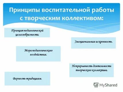 Принципы воспитательной деятельности