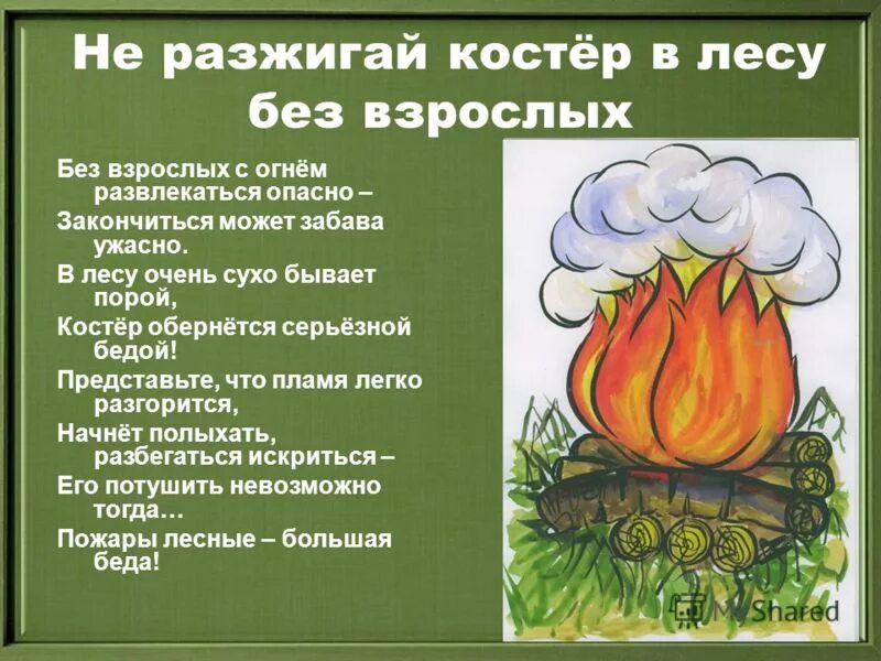 Как развести костер при разной погоде обж. Нельзя разводить костер в лесу. нельзя разжигать костёр в лесу. нельзя разжигать огонь в лесу. не разжигайте костер в лесу.