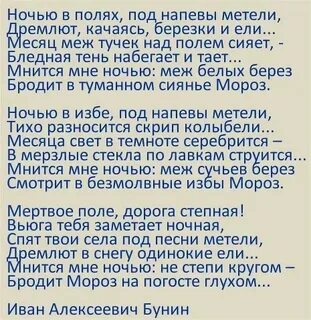 Ночью в полях под напевы метели